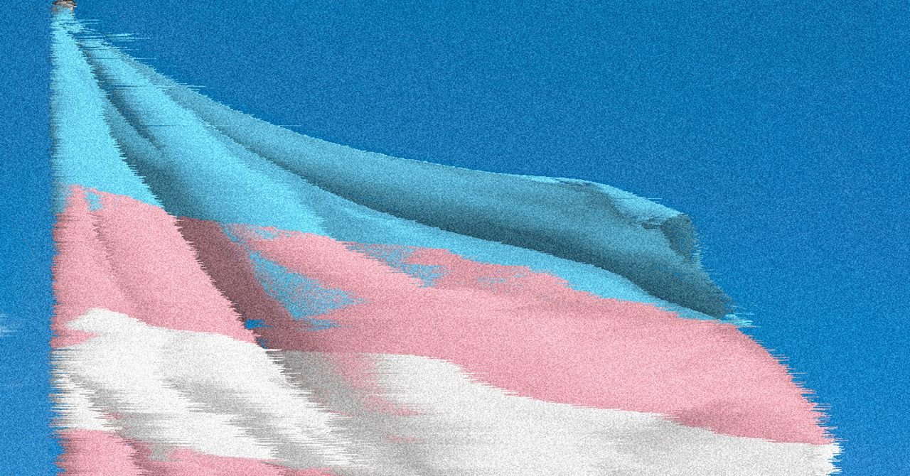 Os pesquisadores correm para salvar dados do governo dos EUA sobre jovens trans - antes de desaparecer