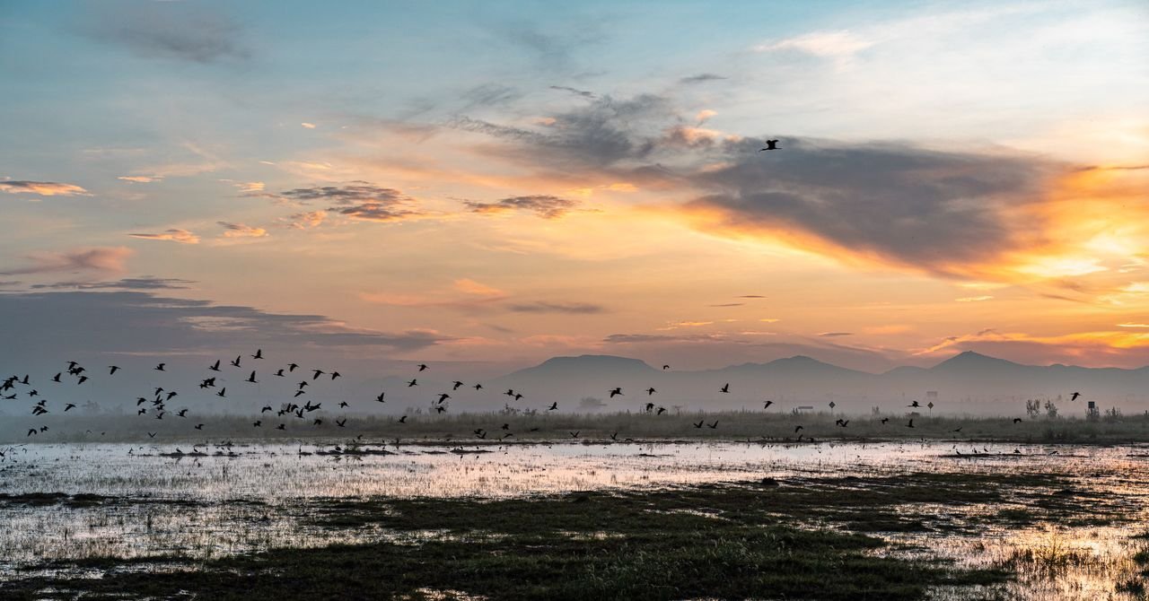 Chuvas enterram um megaaeroporto no México