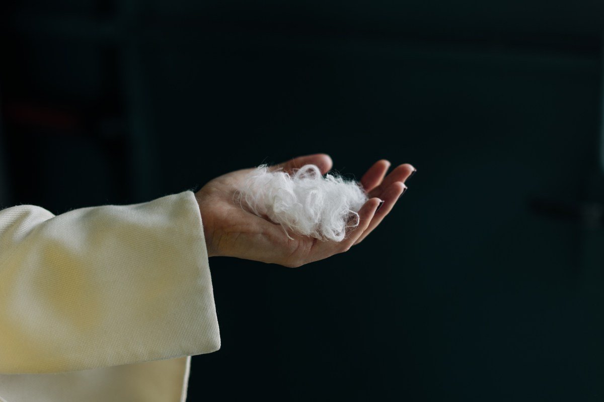 A hand holds white fibers.