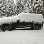 O monstro de 9.000 libras que não quero devolver