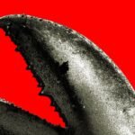 O boom do OpenClaw na China é uma corrida do ouro para empresas de IA