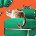 A nova cadeira inflável da Ikea foi testada por gatos