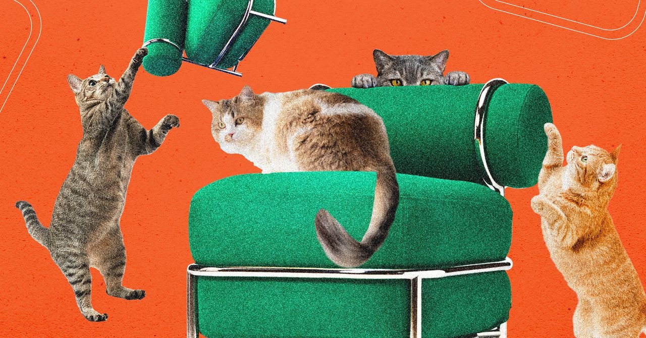 A nova cadeira inflável da Ikea foi testada por gatos