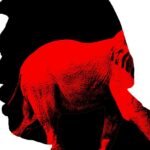 MAGA está começando a olhar além de Trump