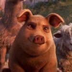 MAGA está confusa sobre ‘Fazenda de animais’