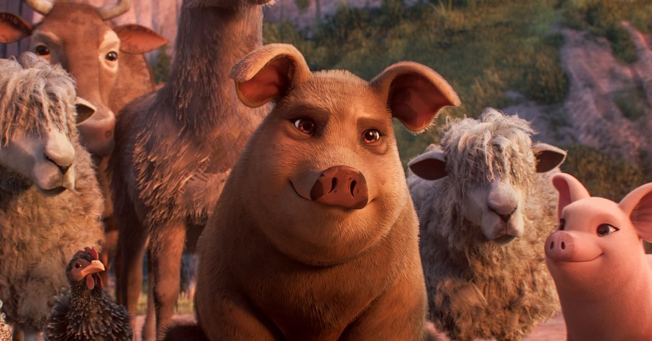 MAGA está confusa sobre ‘Fazenda de animais’