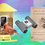 Escolhas do editor: os melhores presentes para amantes de pássaros