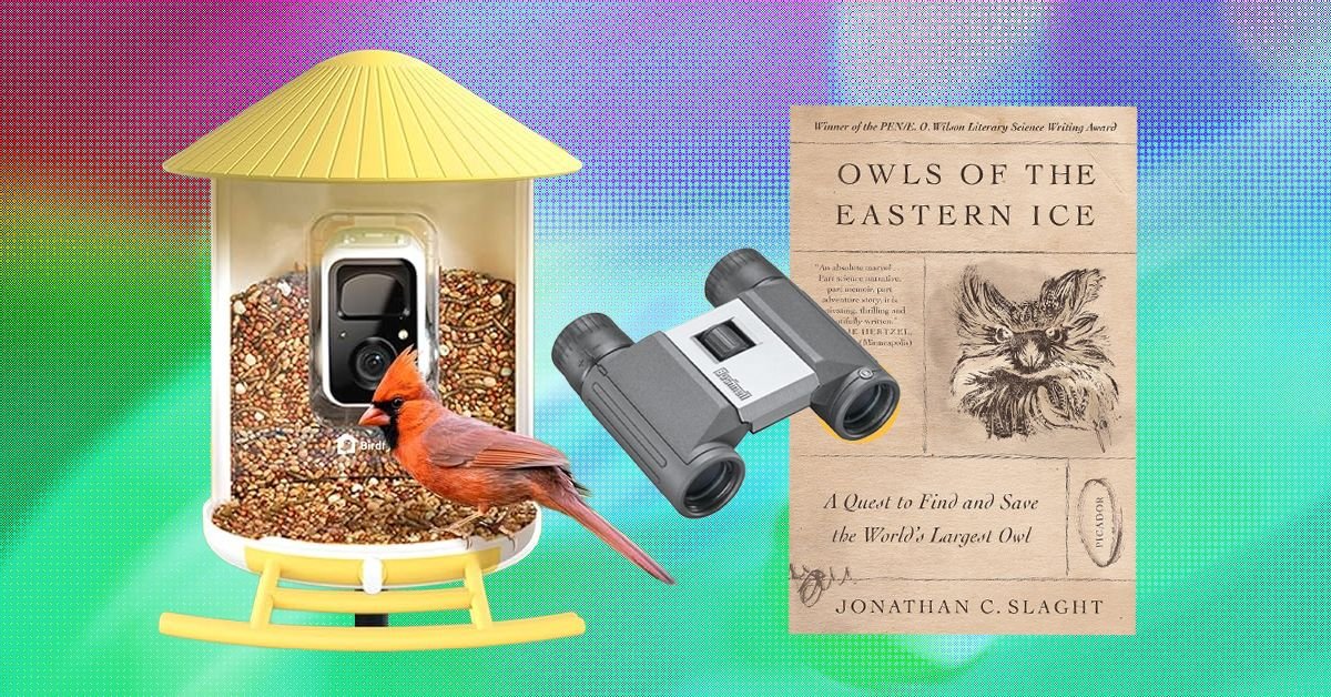 Escolhas do editor: os melhores presentes para amantes de pássaros