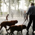 Nova York está prestes a se sentir mais quente que Phoenix