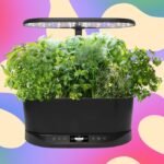 O Aerogarden que recomendo a todos custa apenas US $ 83 no momento, um desconto de 63%