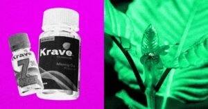 A DEA planeja proibir o composto 7-OH do Kratom semelhante aos opióides