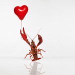 Sim, estamos usando o OpenClaw até agora